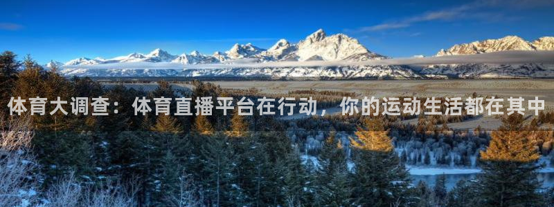 体育大调查：体育直播平台在行动，你的运动生活都在其中