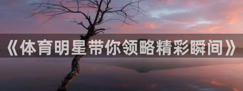 《体育明星带你领略精彩瞬间》