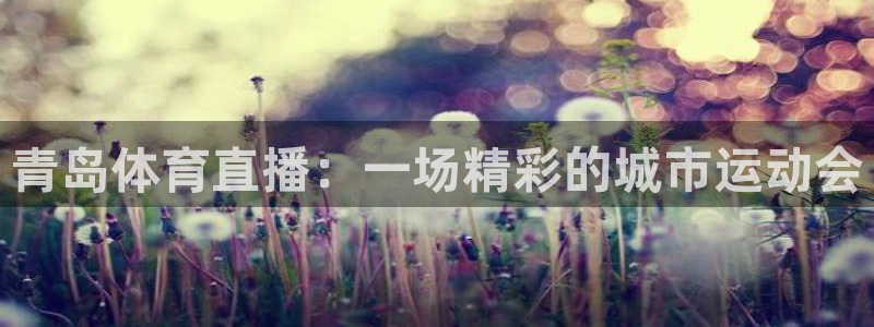 青岛体育直播：一场精彩的城市运动会