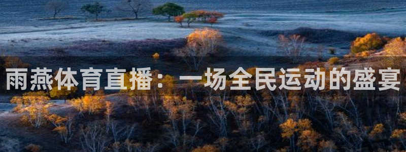 雨燕体育直播：一场全民运动的盛宴
