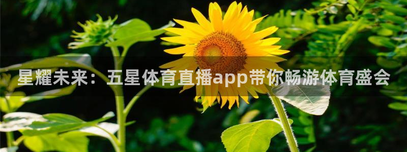 星耀未来：五星体育直播app带你畅游体育盛会