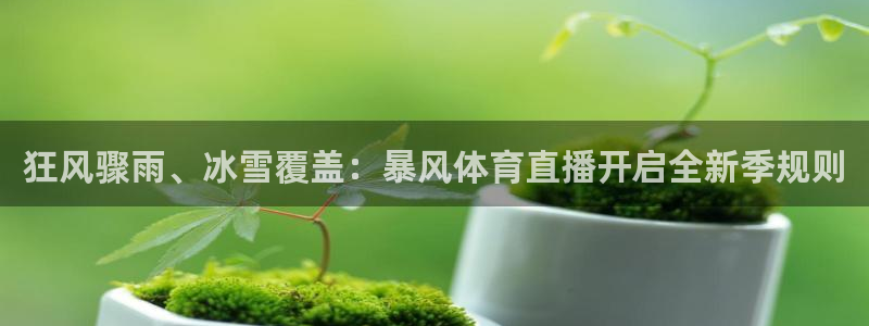 狂风骤雨、冰雪覆盖：暴风体育直播开启全新季规则