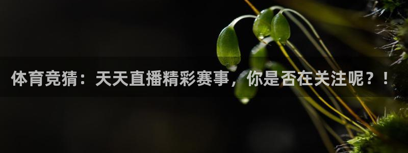 体育竞猜：天天直播精彩赛事，你是否在关注呢？！